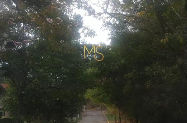 Rua arborizada e tranquila