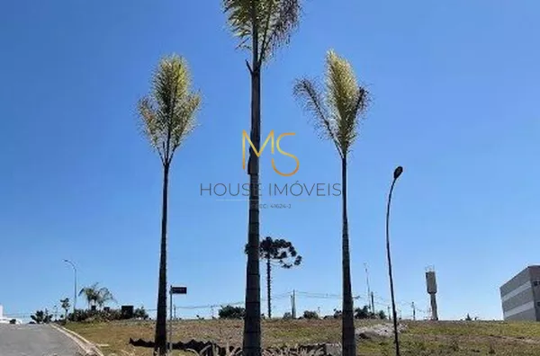 Rotatória e paisagismo