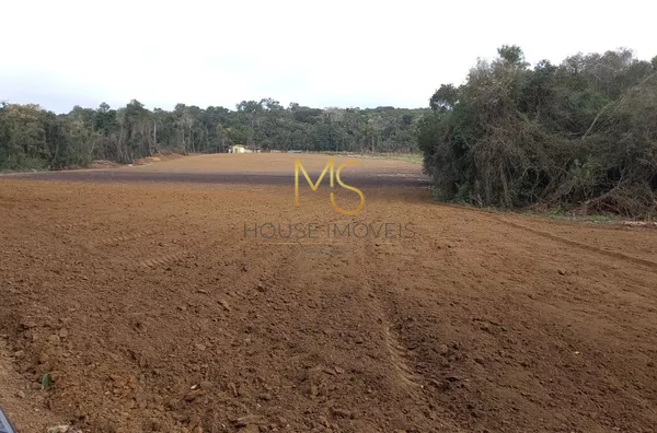 Sítio para venda, 2 quarto(s),  Piai, Ibiúna - Foto 3