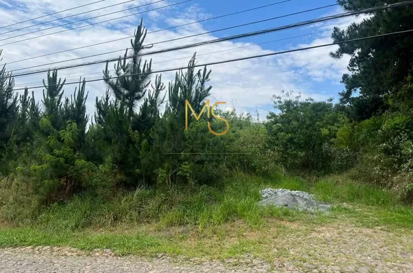 Terreno para venda,  Paisagem Renoir, Cotia - Foto 3