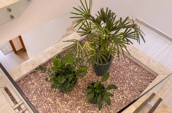Jardim de inverno