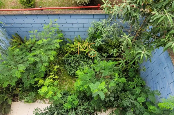 Quintal dos fundos, com potencial para uma área gourmet ou um lindo jardim