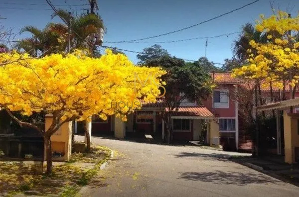 Ruas tranquilas e arborizadas