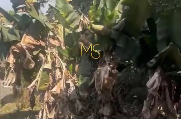 Terreno para ,  São Paulo II, Cotia - Foto 4