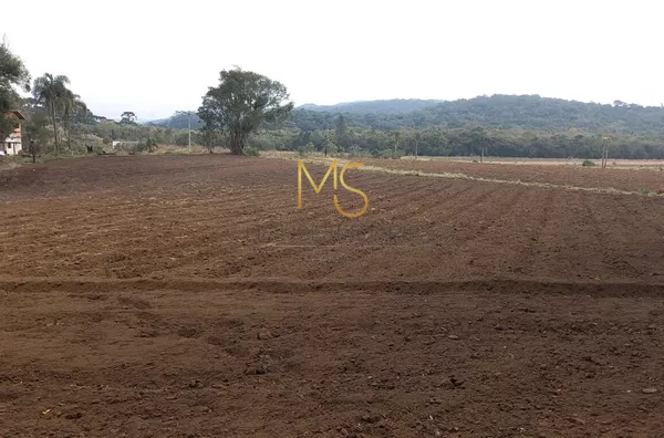 Sítio para venda, 2 quarto(s),  Piai, Ibiúna - Foto 4