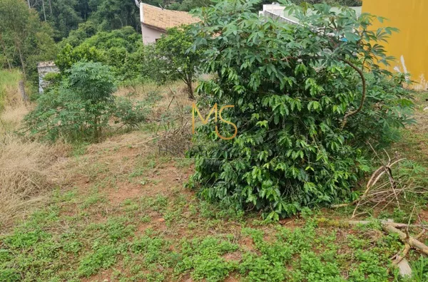 Terreno para venda,  Nova Caieiras, Caieiras - Foto 1