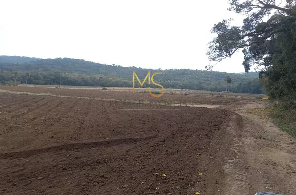 Sítio para venda, 2 quarto(s),  Piai, Ibiúna - Foto 5