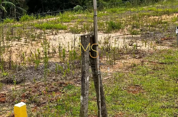 Terreno para venda,  Jardim Atalaia, Cotia - Foto 3