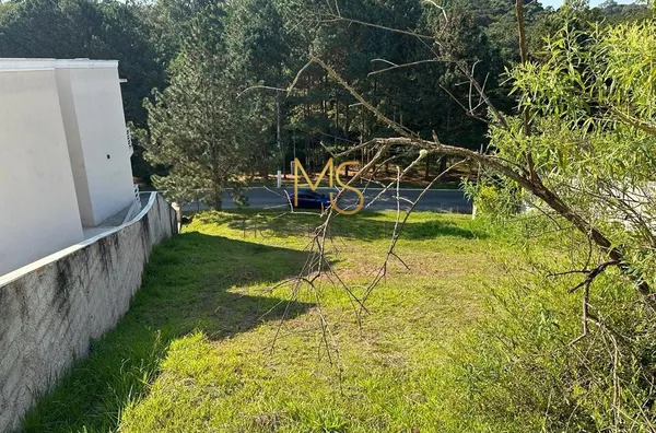 Terreno para venda,  no Condominio Los Angeles , Jardim Torino, Cotia - Foto 2