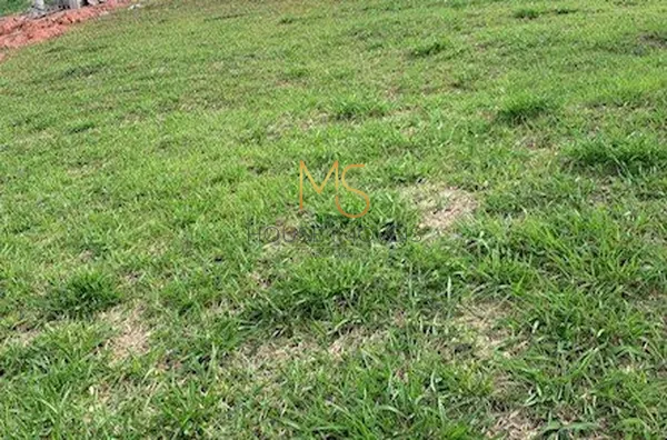 Terreno à venda, no Sítio Boa Vista, Cotia, SP - Foto 2