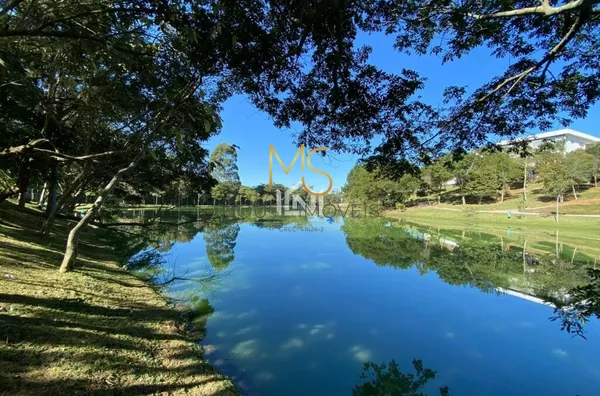 Lago