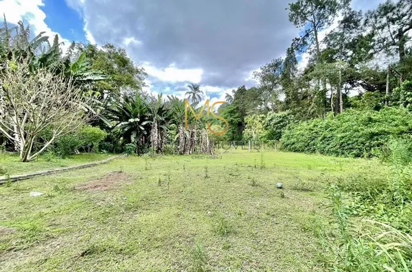 Casa para venda e aluguel, 5 quarto(s),  Vila Santo Antônio, Cotia - Foto 5