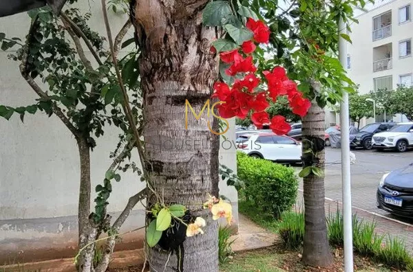 Paisagismo bem cuidado