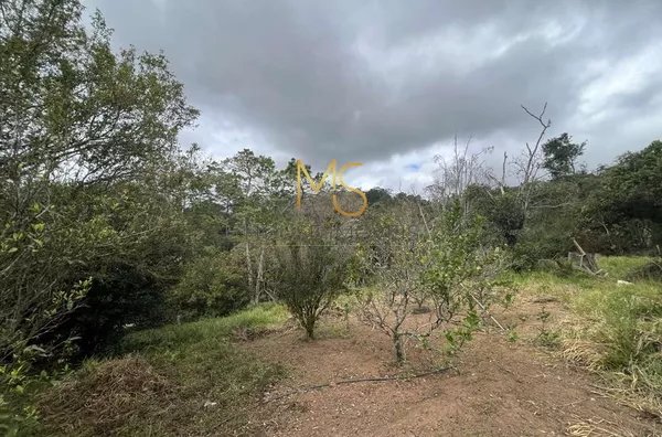 Terreno à venda, 18455 m² por R$ 7.000.000,00 - Taboleiro Verde - Cotia/SP - Foto 2