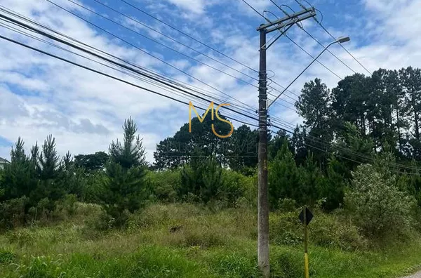 Terreno para venda,  Paisagem Renoir, Cotia - Foto 2
