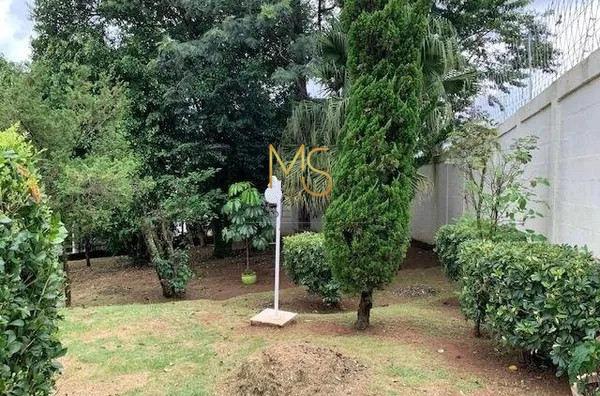 Área Pet