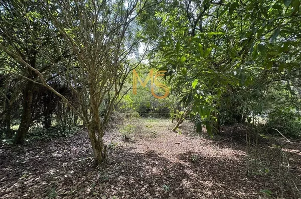 Terreno para venda,  Jardim Da Glória, Cotia - Foto 3