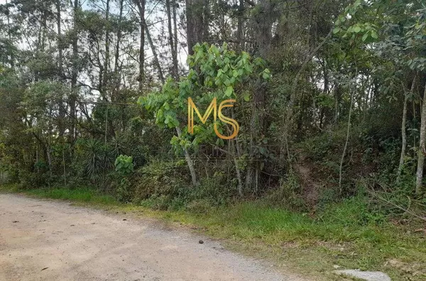 Terreno para venda,  Jardim Da Glória, Cotia - Foto 2