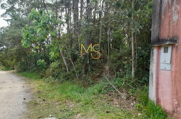 Terreno à venda, 1550 m² por R$ 440.000,00 - Invernada - Embu das Artes/SP - Foto 6