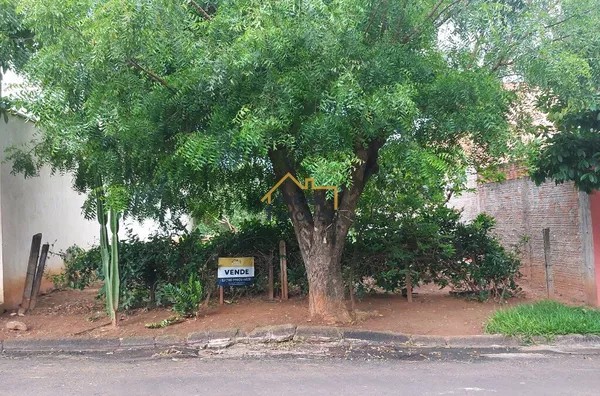 Terreno Bosque da Saúde - Birigui - R$115 mil - 250m² - Foto 7