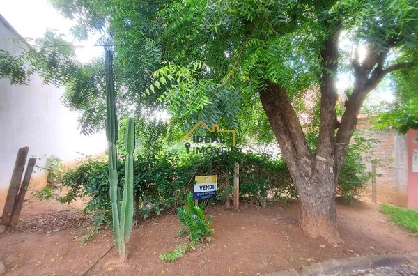 Terreno Bosque da Saúde - Birigui - R$115 mil - 250m² - Foto 9
