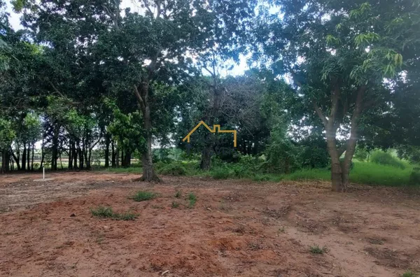 Sítio à Venda em Birigui com 5,9 Alqueires: Lazer, Renda e Investimento