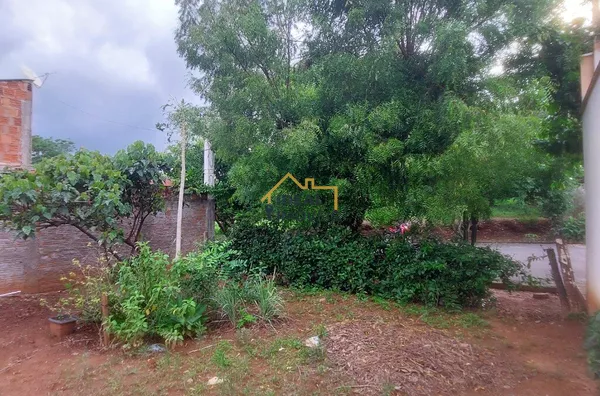 Terreno Bosque da Saúde - Birigui - R$115 mil - 250m² - Foto 6