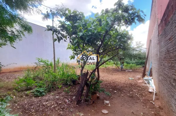 Terreno Bosque da Saúde - Birigui - R$115 mil - 250m² - Foto 11