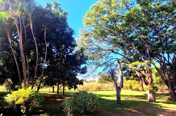 Chácara para venda,  - Selecione - Bairro, Birigui - Foto 5