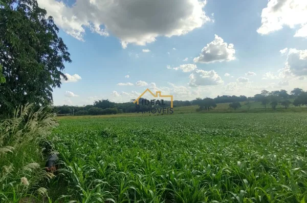 Sítio à Venda em Birigui com 5,9 Alqueires: Lazer, Renda e Investimento
