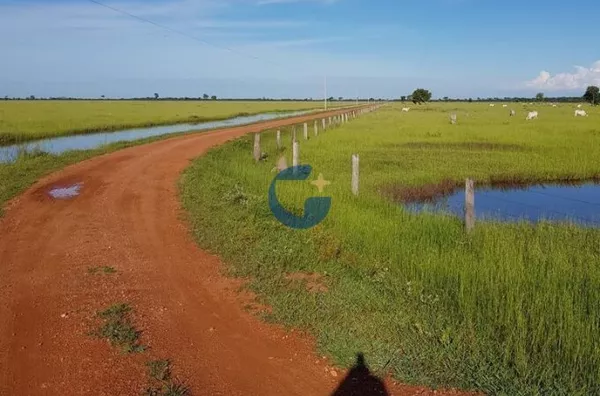Fazenda para venda,  , Cocalinho