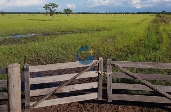 Fazenda para venda,  , Cocalinho