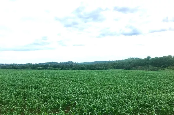 Fazenda