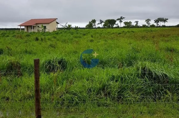 Fazenda para venda,  , Cocalinho