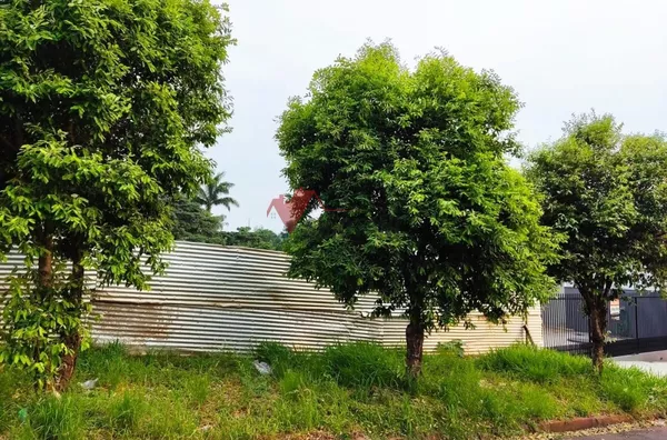 Terreno para venda,  Jardim Castelo Branco, Umuarama - Foto 2