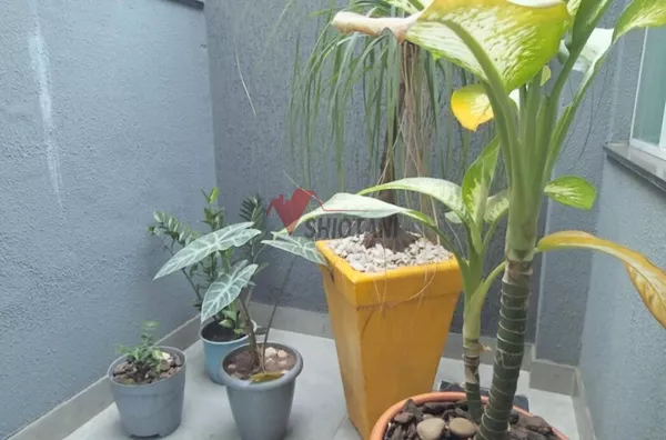 Casa para venda,  Jardim Yoshi, Umuarama - Foto 2