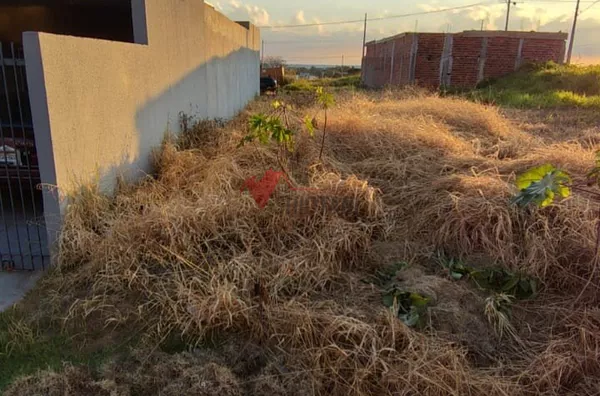 Terreno para venda,  Jardim Bela Vista, Umuarama - Foto 2