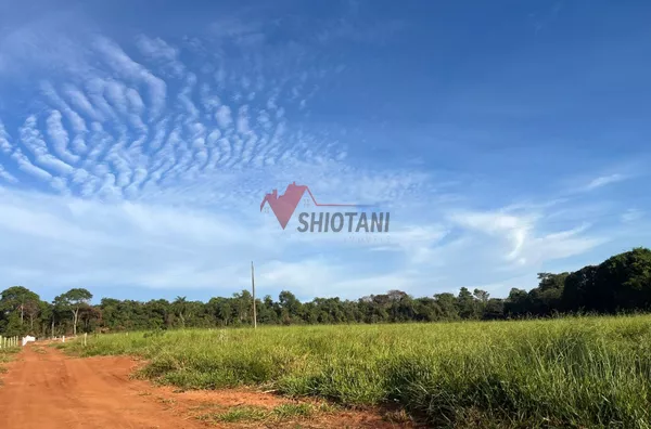 Chácara para venda,  área Rural De Umuarama, Umuarama - Foto 5