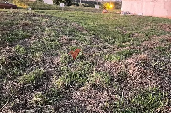 Terreno para venda,  Parque Residencial Tokio, Umuarama - Foto 2