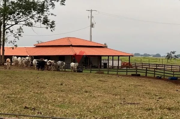 Chácara para venda,  Estrada Jaborandi, Umuarama