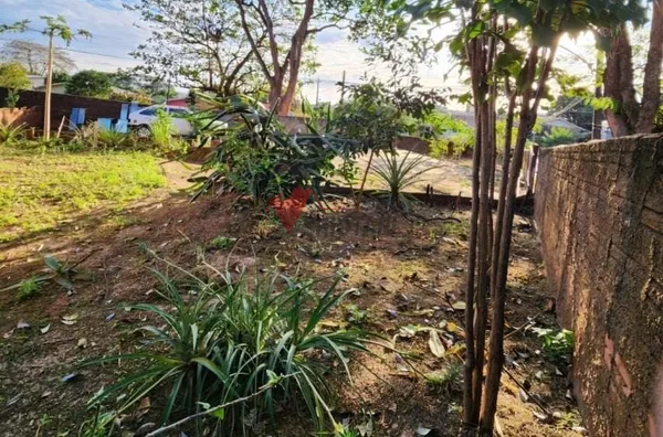Terreno residencial para venda, Zona Vi, Umuarama - Foto 3