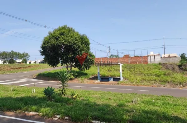 Terreno para venda,  Jardim Beira Rio, Umuarama - Foto 4
