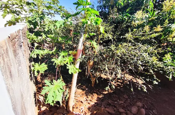 Casa para ,  Zona V, Umuarama - Foto 5