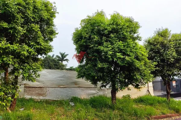 Terreno para venda,  Jardim Castelo Branco, Umuarama - Foto 3