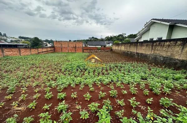 TERRENO À VENDA, SÃO FRANCISCO, PATO BRANCO