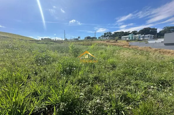 TERRENO À VENDA, CADORIN, PATO BRANCO