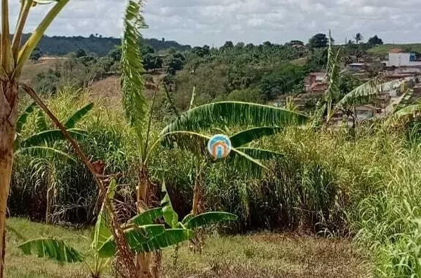 Solânea-PB Terreno amplo bem Localizado na Rua ao lado da avenida principal