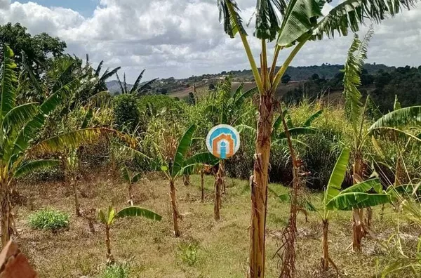 Solânea-PB Terreno amplo bem Localizado na Rua ao lado da avenida principal
