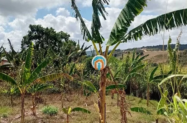 Solânea-PB Terreno amplo bem Localizado na Rua ao lado da avenida principal