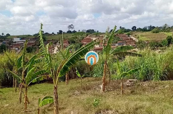 Solânea-PB Terreno amplo bem Localizado na Rua ao lado da avenida principal